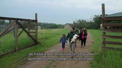 Episode Twenty - Elk...