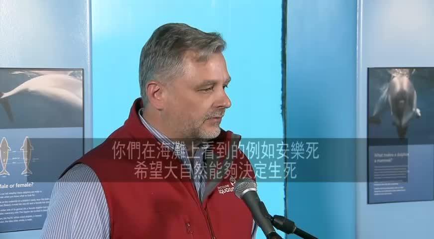 溫水簇館恐新例妨礙拯救海洋生物 - April 28, 2017 (B.C.)