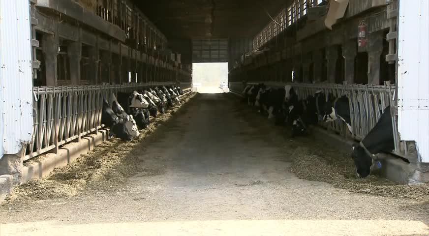 美向加軟木徵收百分之二十關稅-APR25,2017(BC)