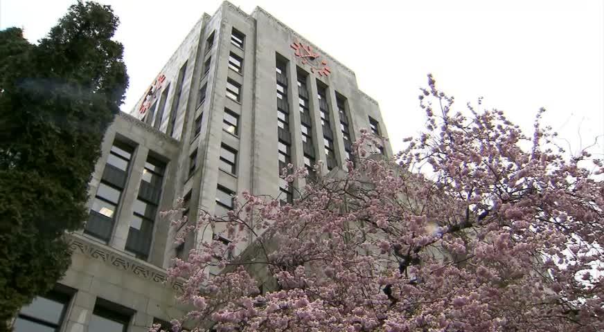 溫市櫻花節月開幕-Apr 6, 2017 (BC)