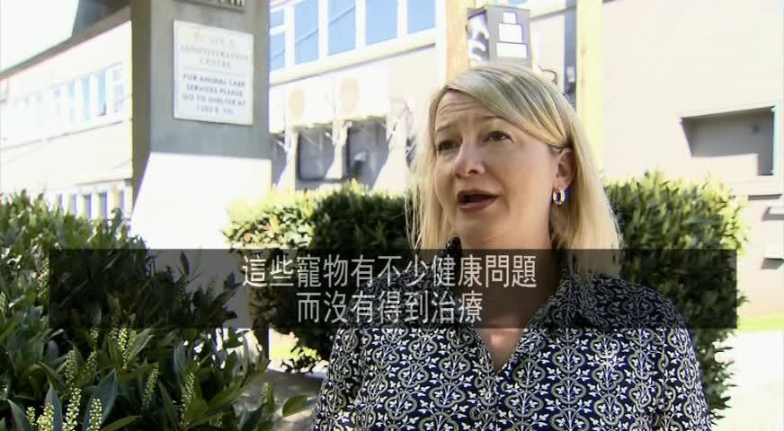 愛護動物協會解救出30隻寵物-APR25,2017(BC)