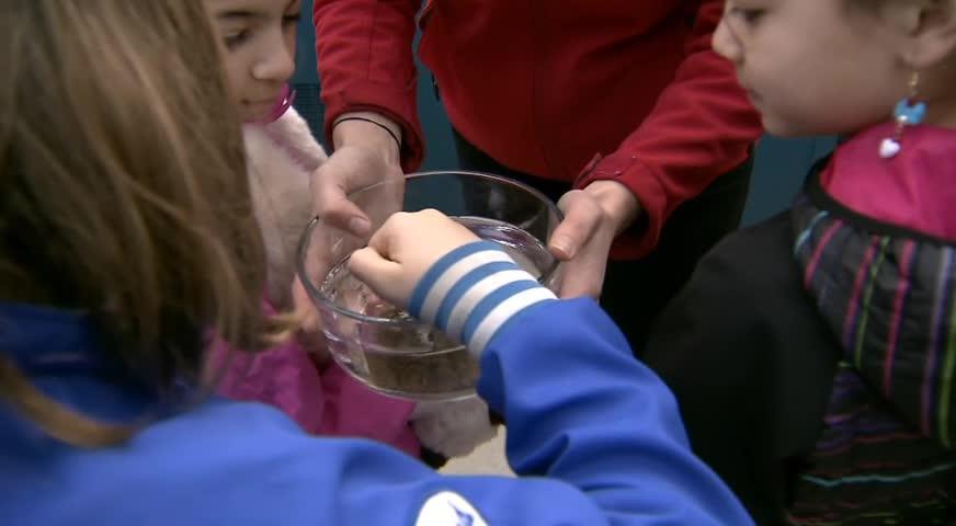 溫哥華水族館的流動水族館巡迴全國賀國慶- APRIL 4, 2017 (BC)