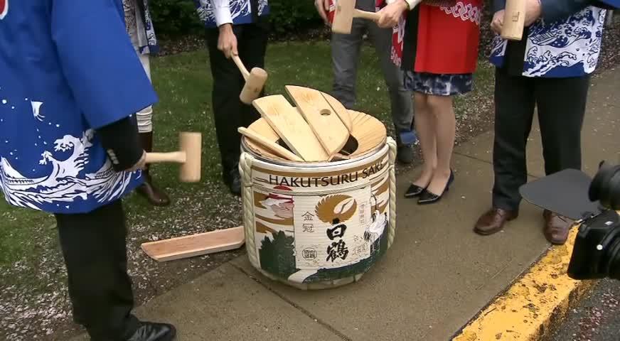 四月為溫哥華櫻花月 - APRIL 6, 2017 (BC)