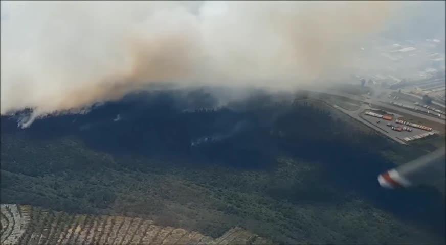 迎夏季防水災火災及蟲患 - MAY 15, 2017 (B.C.)