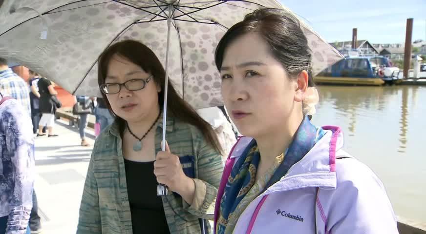 海狮将女童拉下水事件继续受关注-MAY23,2017(BC)