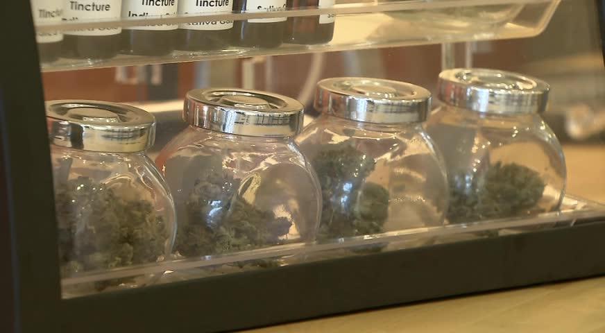 溫市多數大麻店收告票而不交罰款 - JUNE 26, 2017 (B.C.)