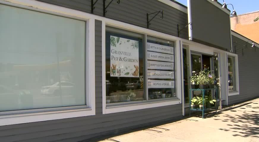 溫市禁止寵物店賣貓狗 - JUNE 29, 2017 (B.C.)