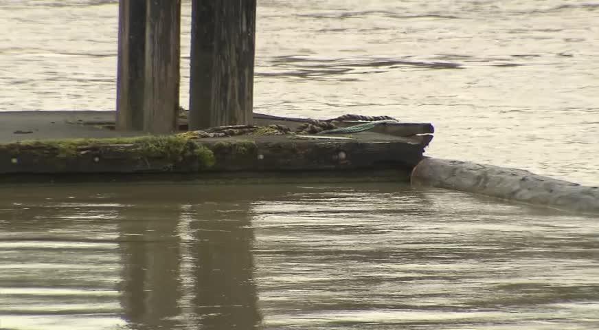 菲沙河水位周末達高峰 - JUNE 2, 2017 (B.C.)