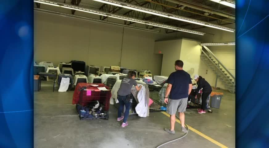 SPCA营救山火中流离失所的宠物-JUL18,2017(BC)