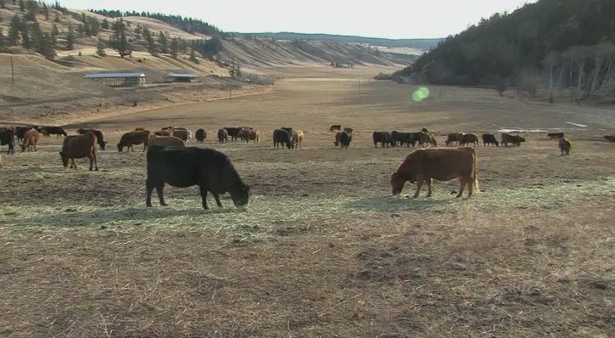 山火持續，Clinton居民被要求緊急撤離-JUL 26, 2017 (BC)