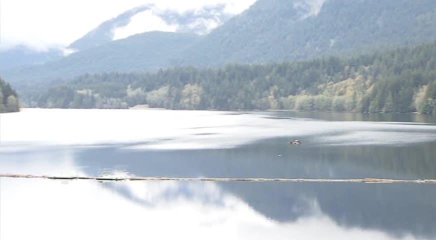 華裔攝影師中山公園影展宣環保 - JULY 6, 2017 (B.C.)