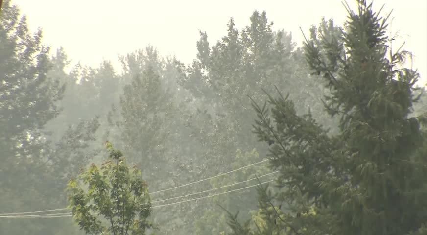 山火新增17宗，空气质量无改善-AUG 09, 2017 (BC)