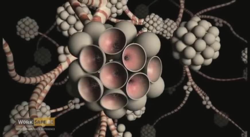 安全局向違反石綿指引承建商發停工罰款令 - AUG 17, 2017 (B.C.)