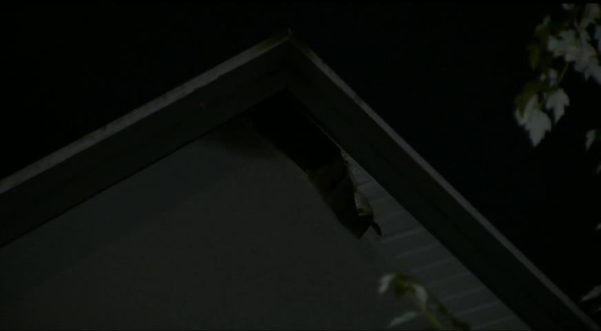 素里民宅起火-AUG 25, 2017 (BC)