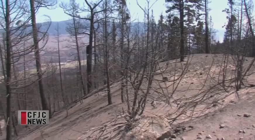 卑省今年山火面積破紀錄 - AUG 17, 2017 (B.C.)