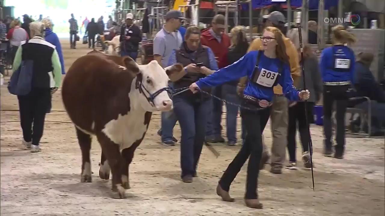 皇家冬季農業展- Nov 3 2017 (ON)