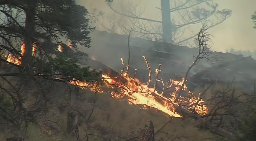 省长与总理会晤，谈山火及油管等问题-NOV 17, 2017 (BC)
