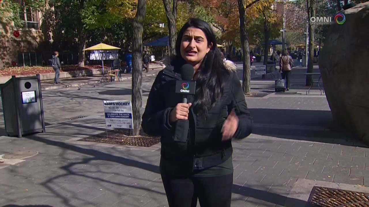 Minorities the new majority - except in the job market