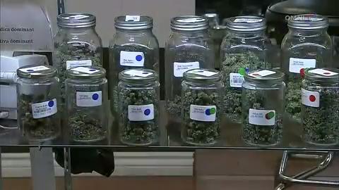 大麻合法化網上調查- Nov 24 2017 (ON)