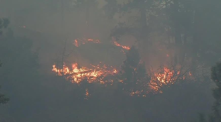 BC今年山火开支庞大，联邦承诺拨款-NOV 23, 2017 (BC)
