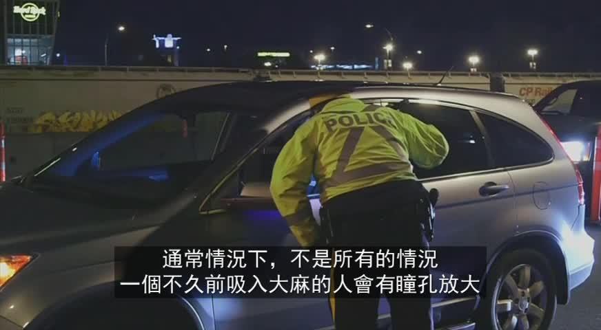 RCMP预防司机吸食大麻问题，可向美国取经-NOV 23, 2017 (BC)