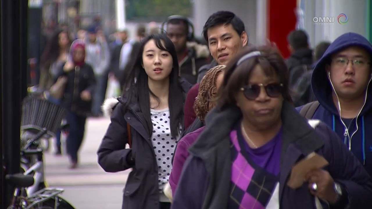 Census ethnicity breakdown for South Asians