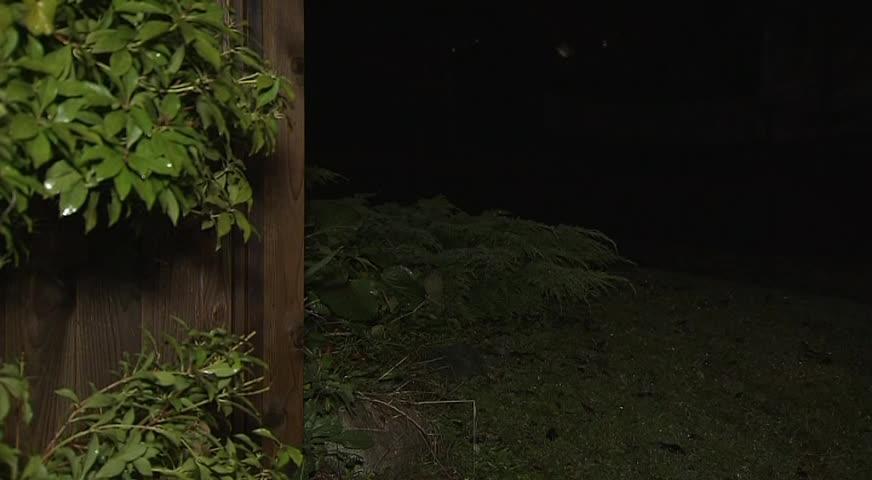 素里性侵案件频发，又一名女子报警-NOV 21, 2017 (BC)