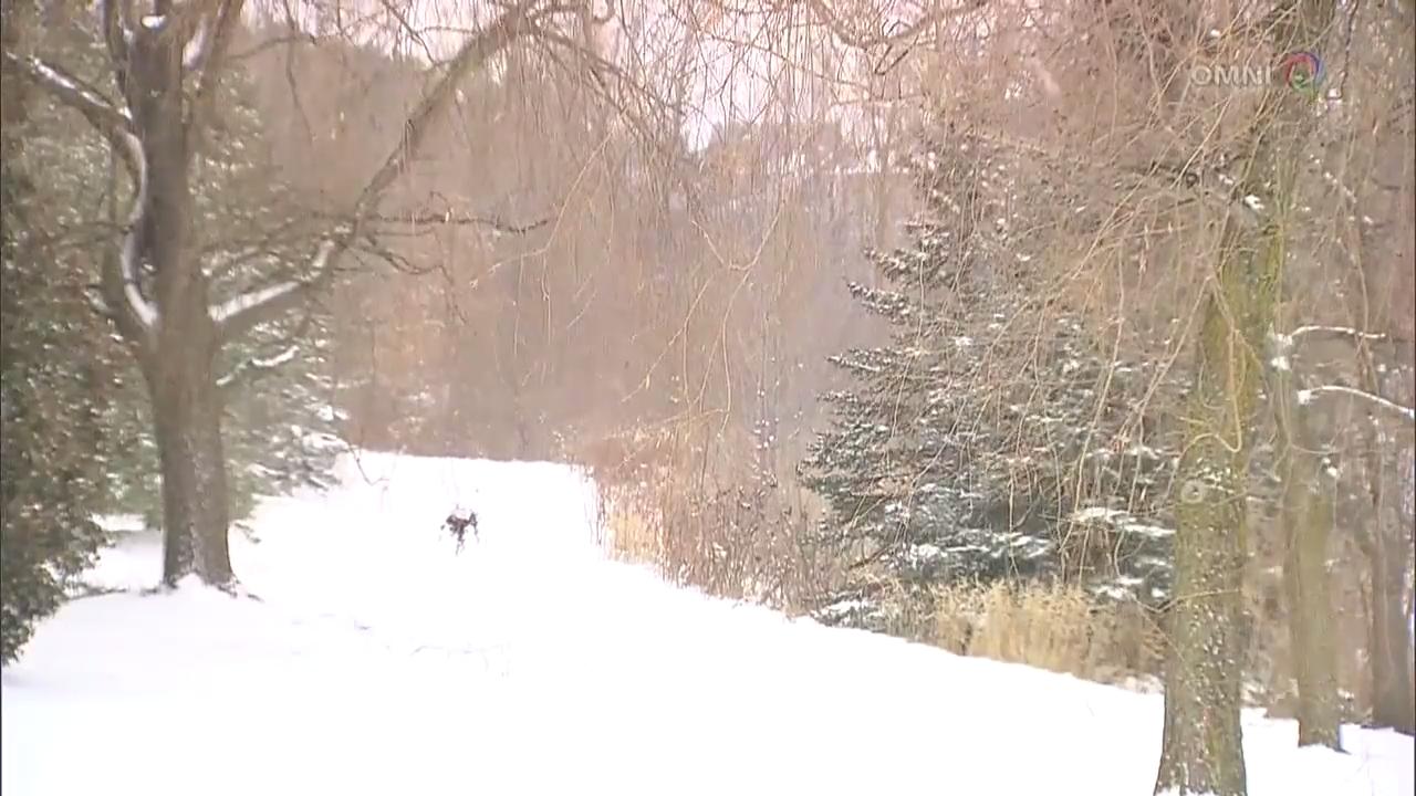 冬季首場風雪- Dec 22 , 2017 (ON)