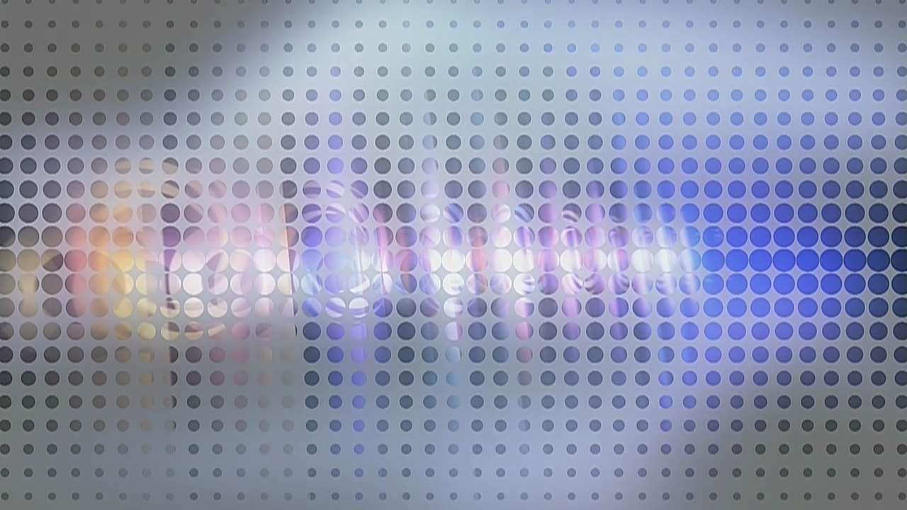 Census shows aging workforce & overqualified immigrants