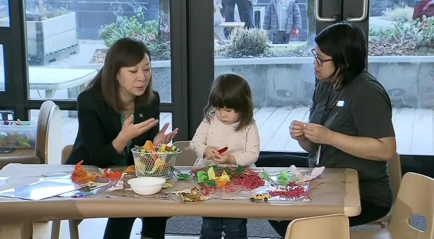 省府拨款3300万增托儿名额-DEC 04, 2017 (BC)