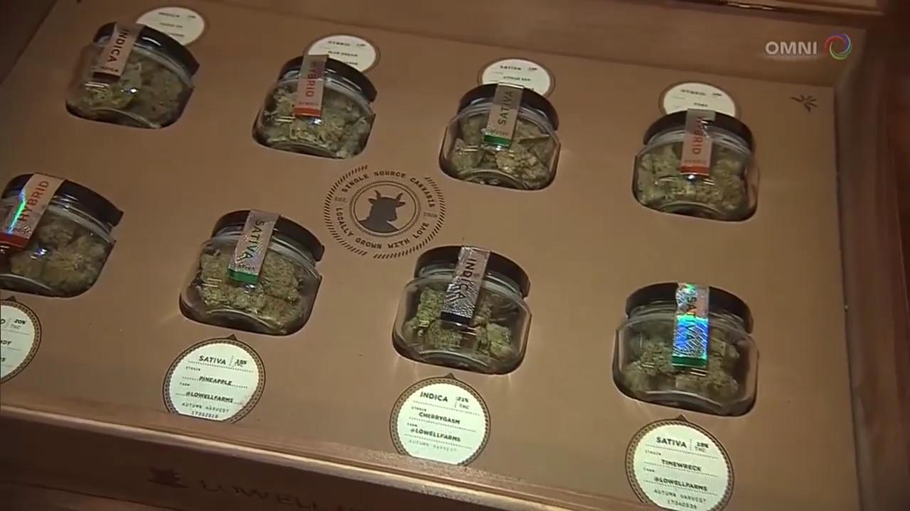 省政就開設吸食大麻休閒點展開資詢- Jan 23 , 2018 (ON)