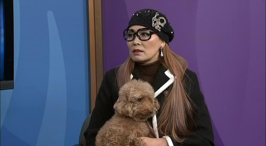 丁果观点-陈美美：狗年愿景，过好当下没一天-JAN 26, 2018 (BC)