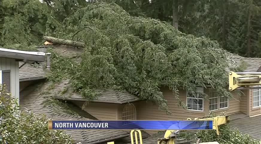强风袭击低陆平原，上万用户停电-JAN 22, 2018 (BC)