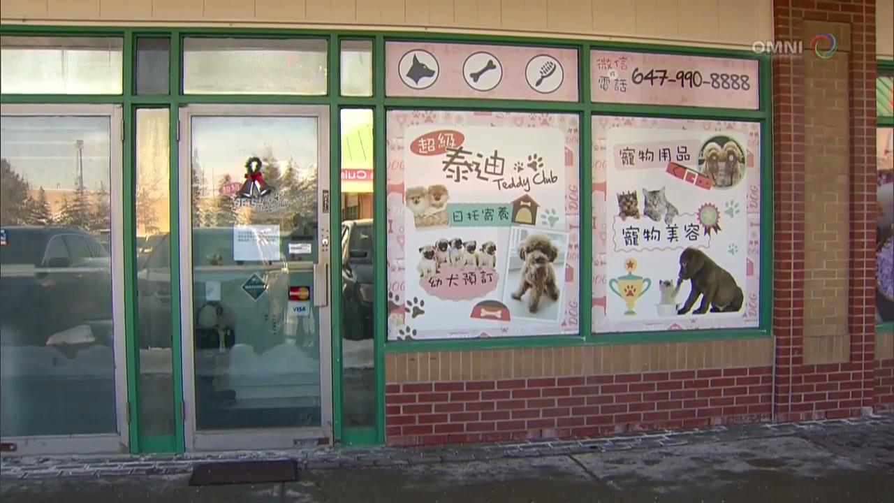 万锦市宠物店被动物保护组织投诉– Jan 17, 2018 (ON)