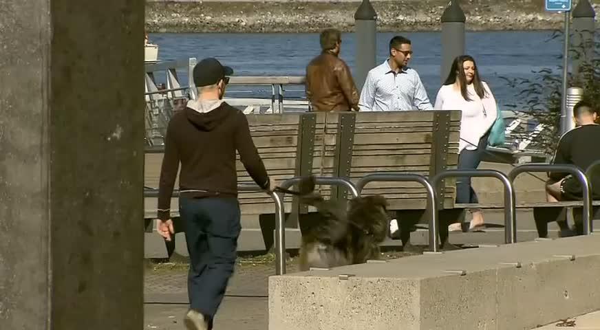 大温周末天气回暖-MAR 12, 2018 (BC)