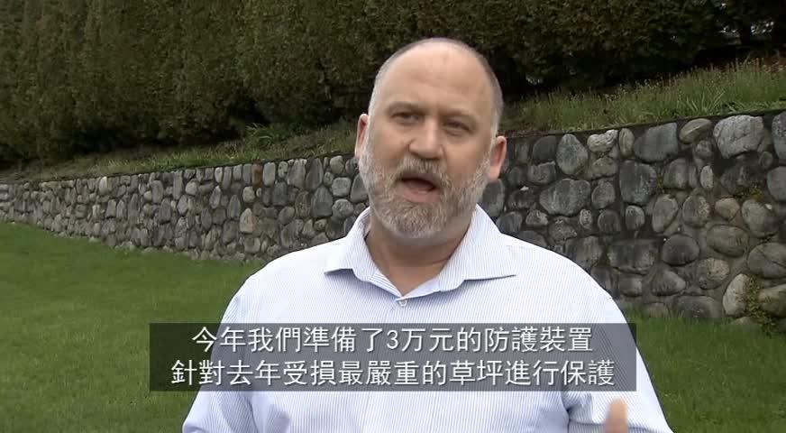 公园局不满420大麻日在公园举办 主办方：作好准备保护草坪-APR 17, 2018 (BC)