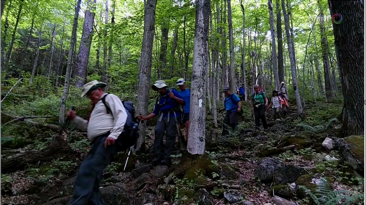 健行活动注意事项  – Mar 29, 2018(ON)