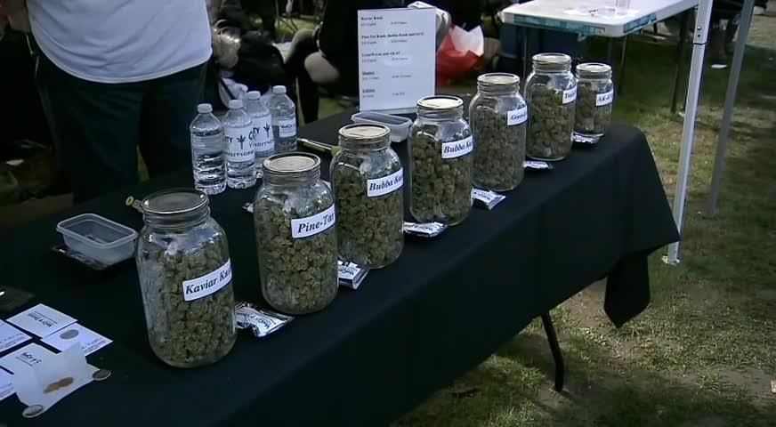 华裔上议院议员胡子修谈大麻合法化面对的问题-APR 04, 2018 (BC)