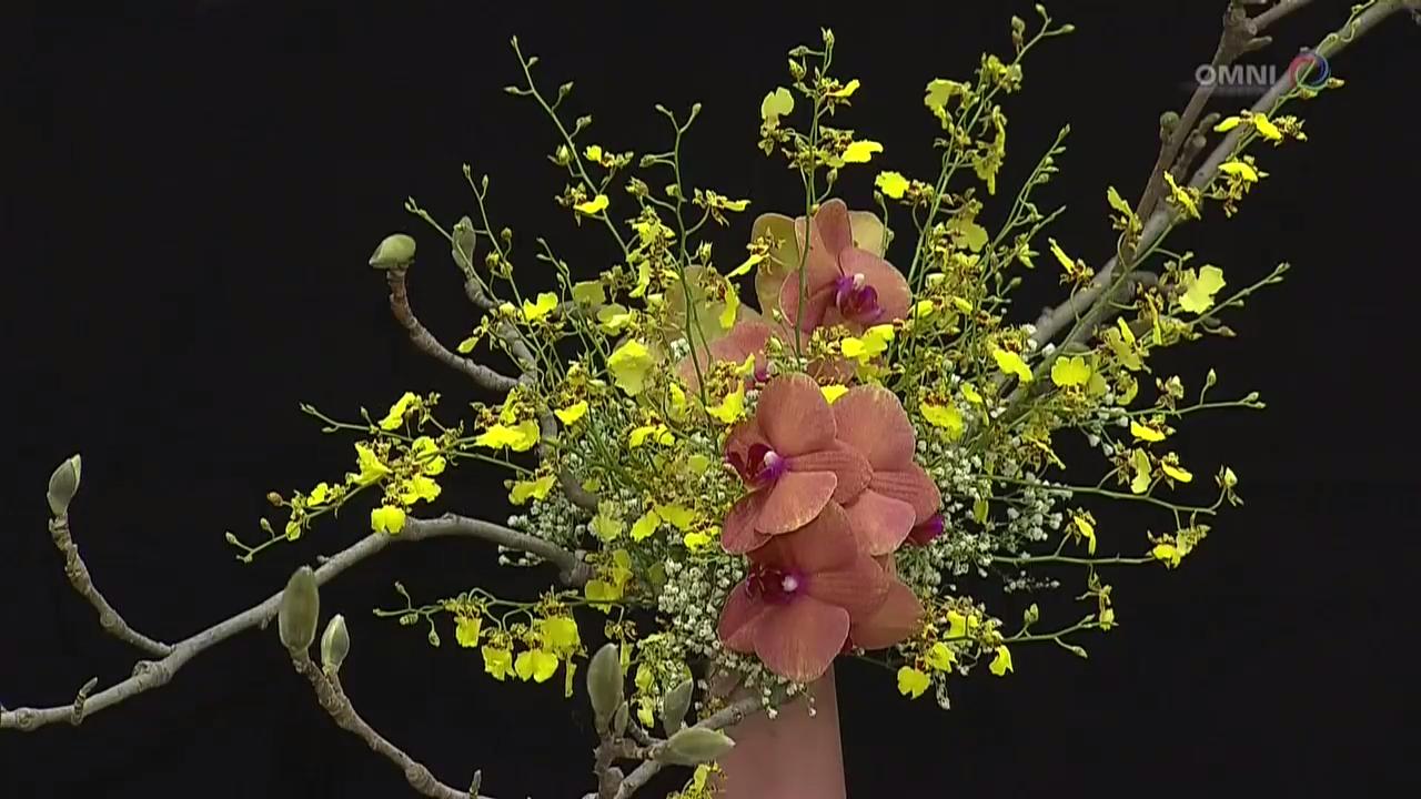 兰花展 – Apr 16, 2018 (ON)