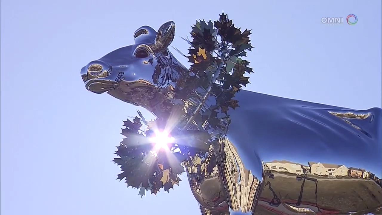 万锦市政府积极设法移走有争议的乳牛雕像 – Apr 18, 2018 (ON)