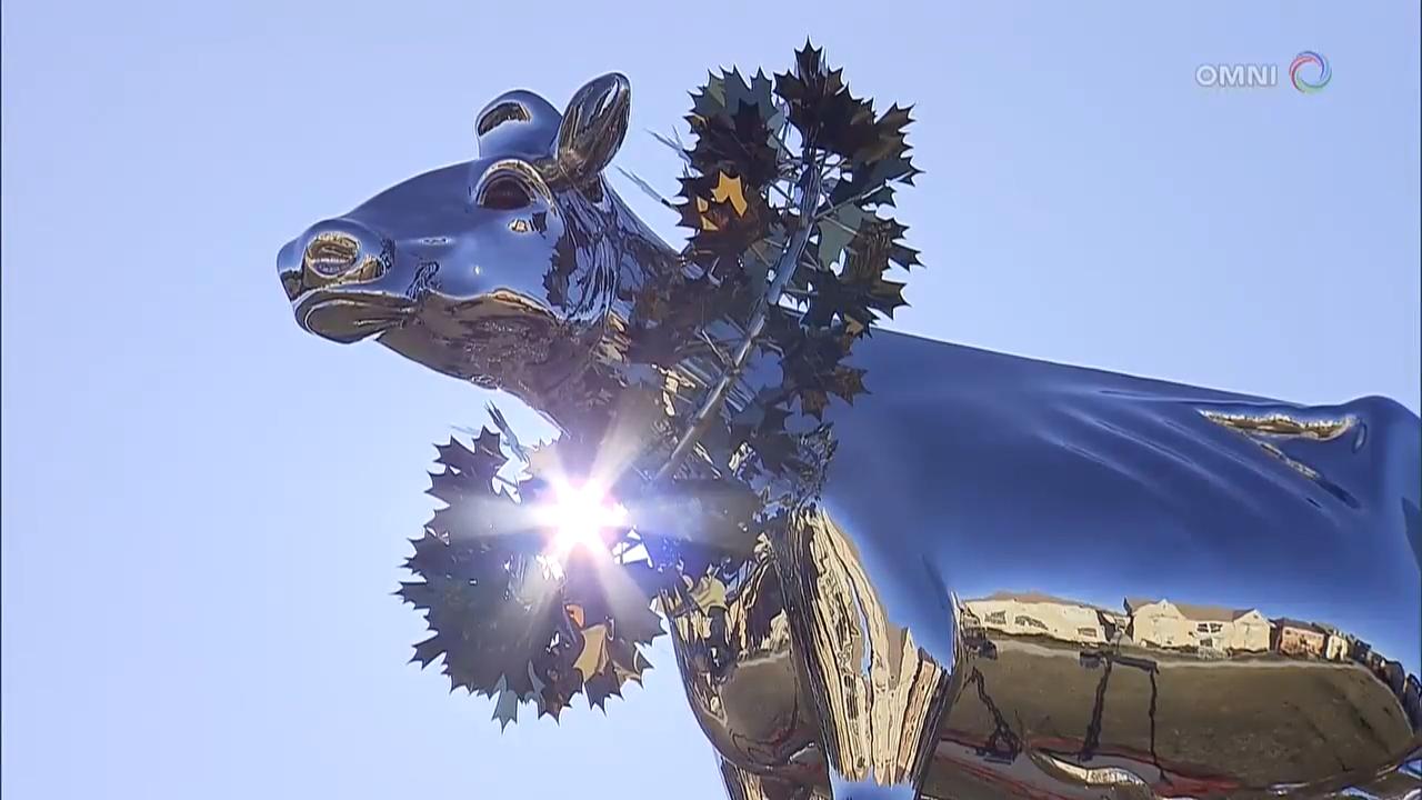 萬錦市乳牛金屬雕像 - April 09, 2018 (ON)