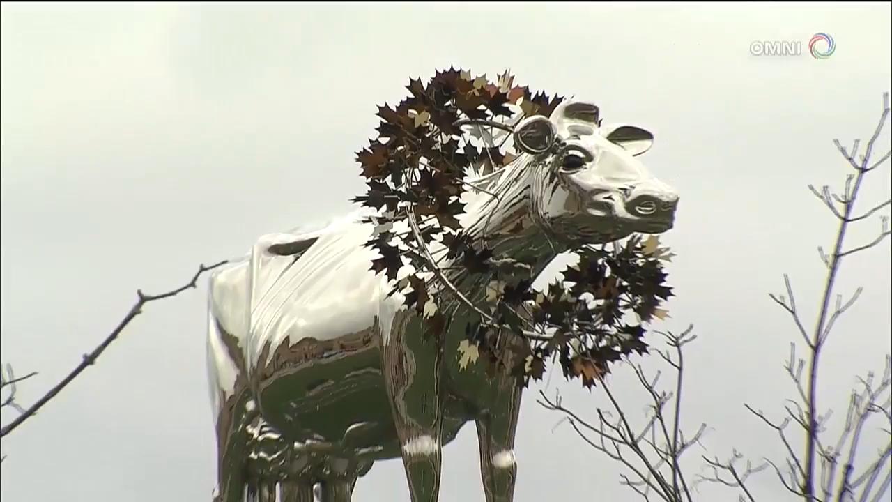 萬錦市乳牛雕像事件解決 - May 03, 2018 (ON)