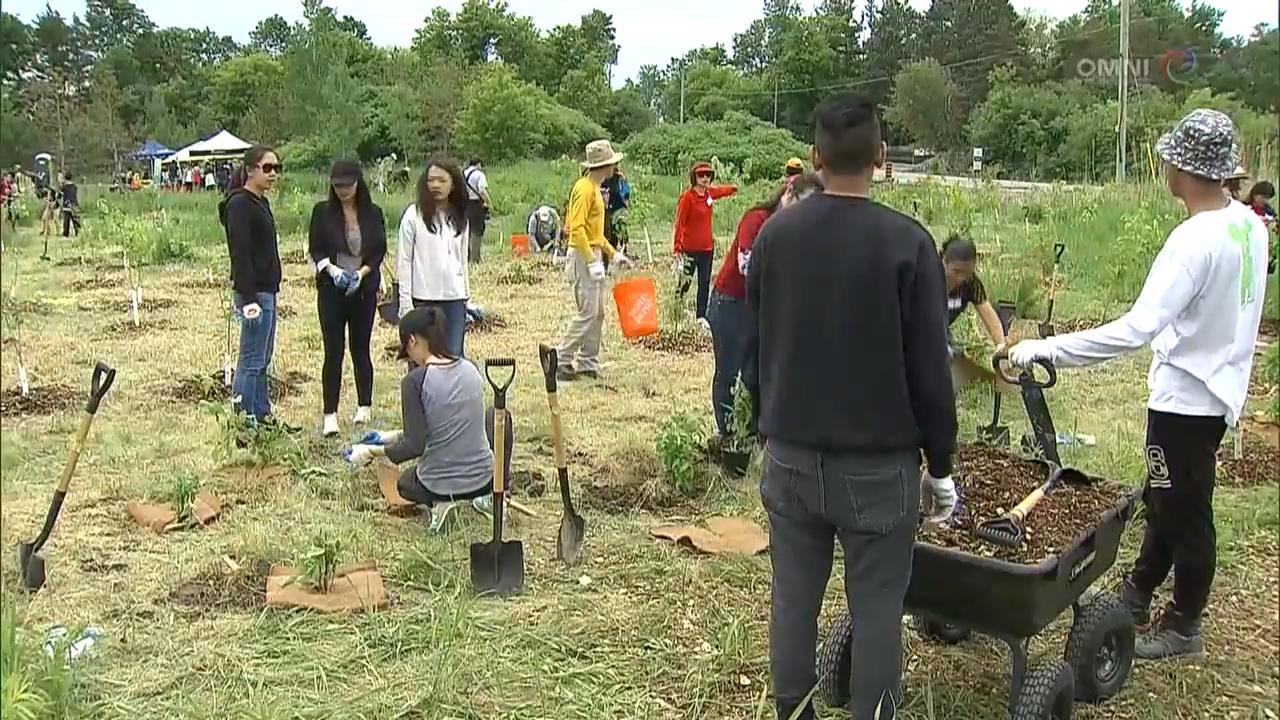 家和專業輔導中心植樹籌款活動 - June 11, 2018 (ON)