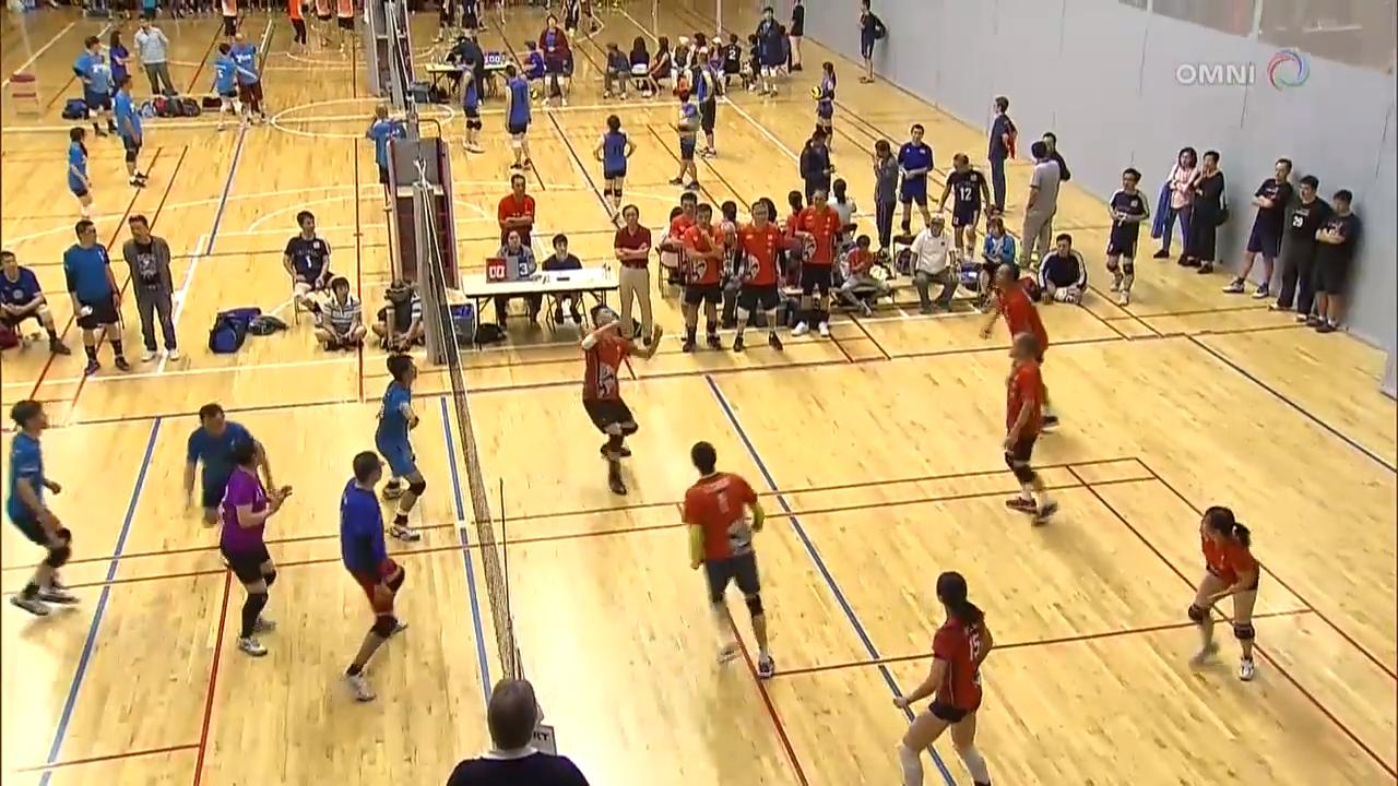 社区排球锦标赛 – Jun 18, 2018 (ON)