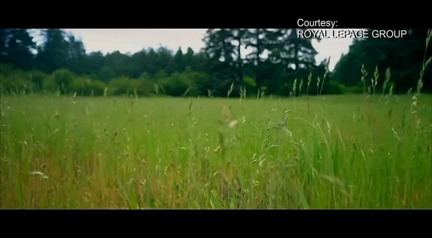 受投机税影响 本省度假屋价格下跌-JUN 06, 2018 (BC)