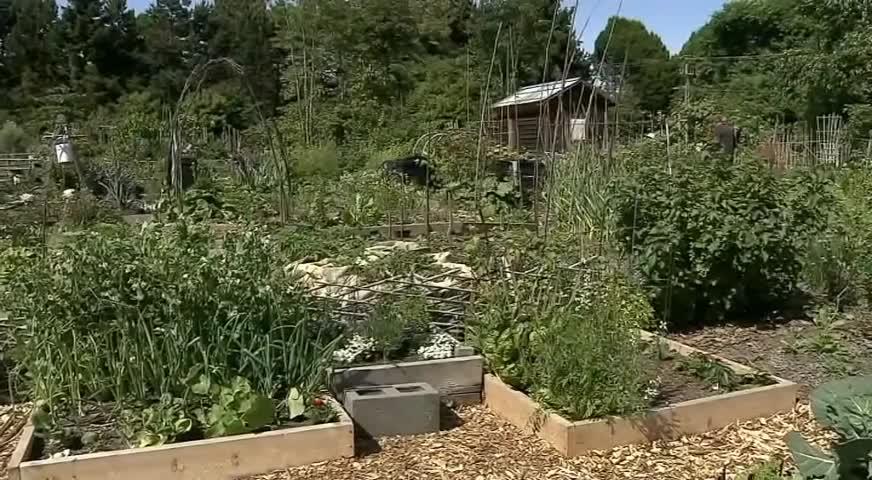 大温结束有记录以来最干燥5月-MAY 31, 2018 (BC)