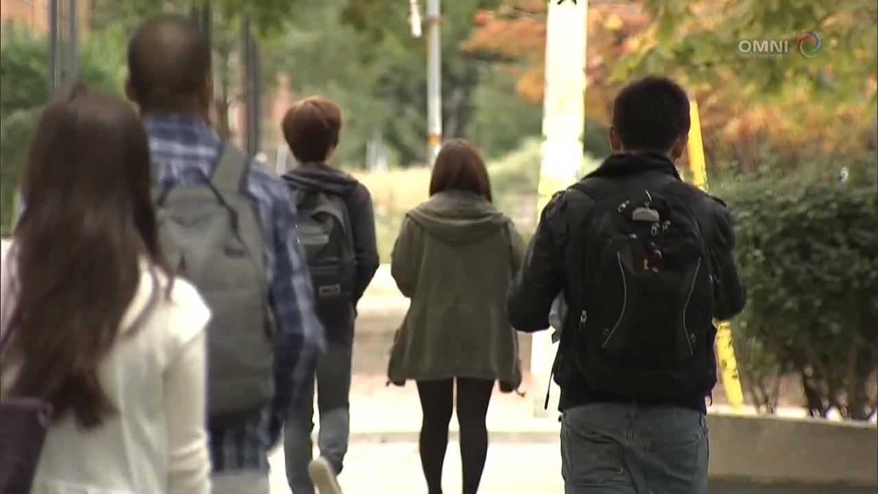 多伦多发布报告，分析青少年涉枪犯罪原因 – Jul 20, 2018(ON)