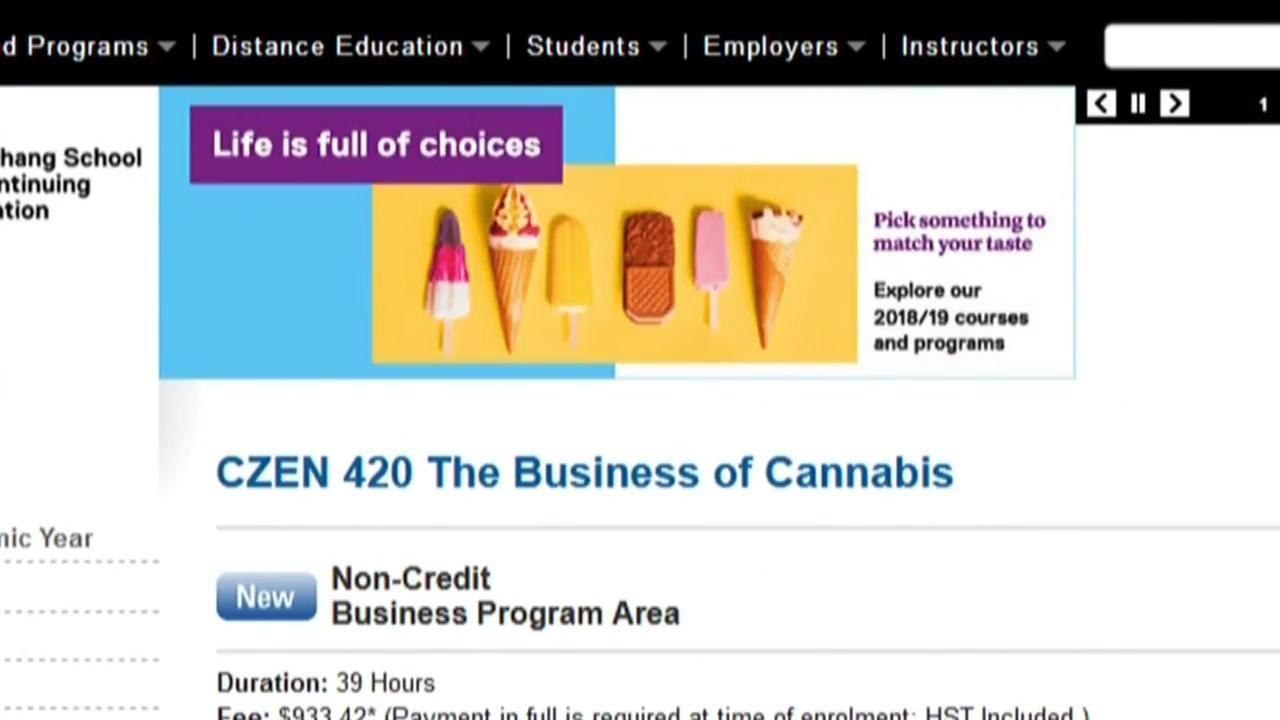 本地一所大学就推出大麻商业管理课程– Aug 24, 2018 (ON)