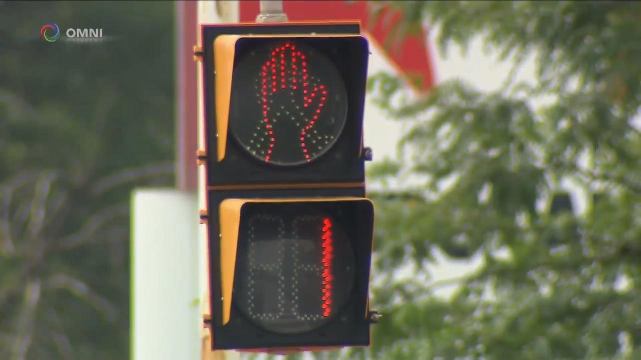 多伦多全市进行严格交通执法   – Aug 27, 2018(ON)