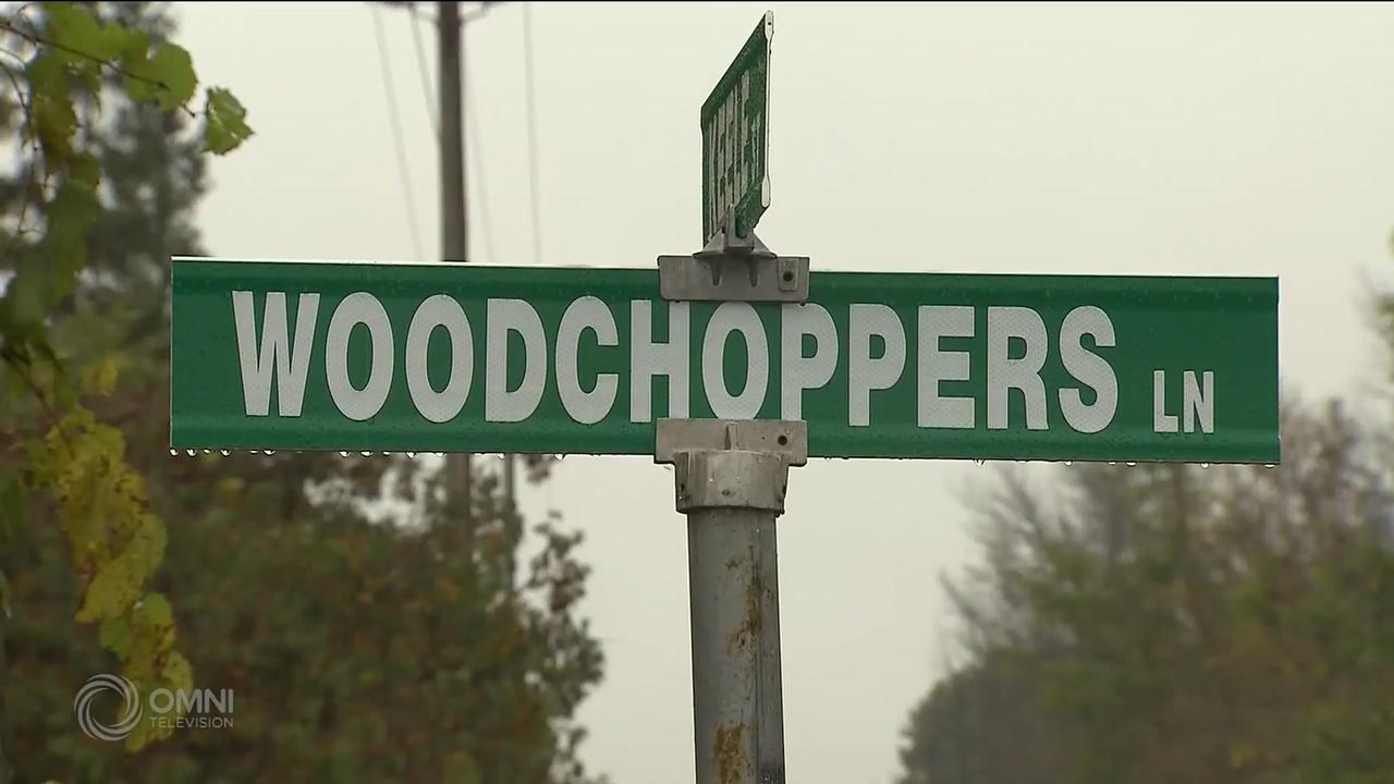 約克區警方檢獲4百幾棵違規大麻 -- Oct 02, 2018 (ON)